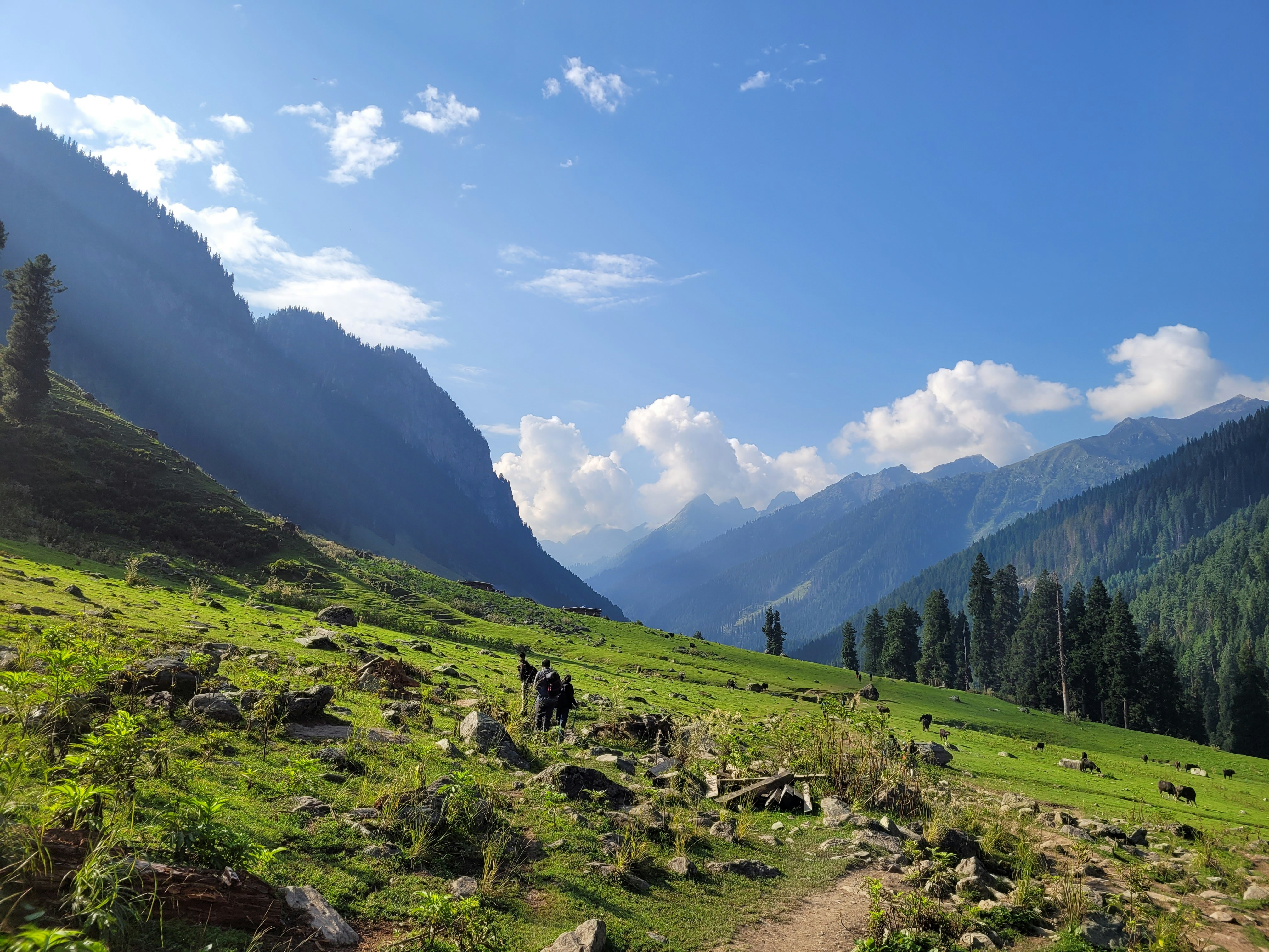 Wayanad Trek | 2D/1N