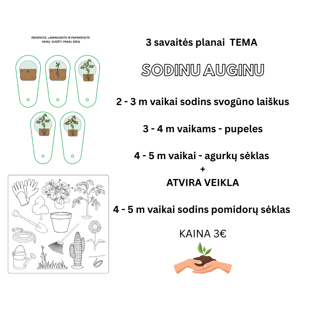Sodinu auginu