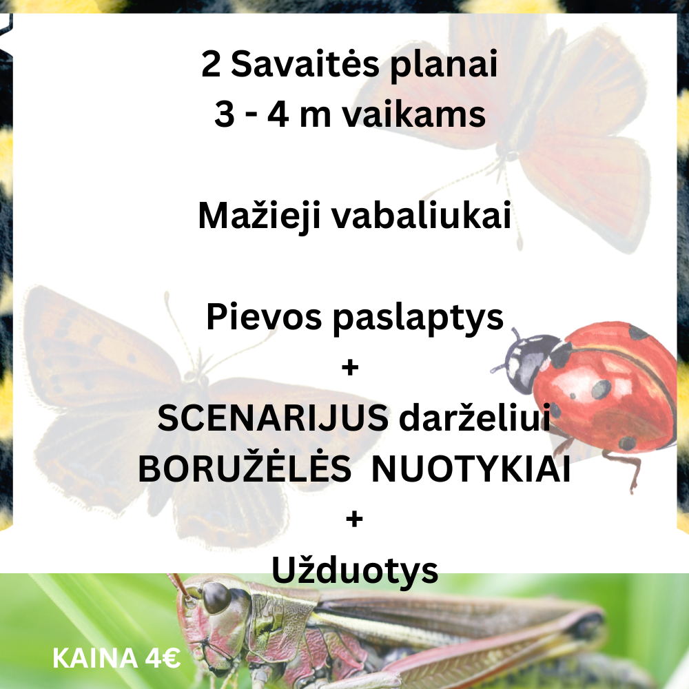 2 savaitės planai 