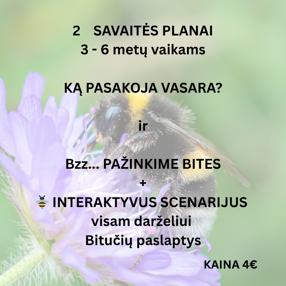 Ką pasakoja vasara IR Bzz...pažinkime BITUTES