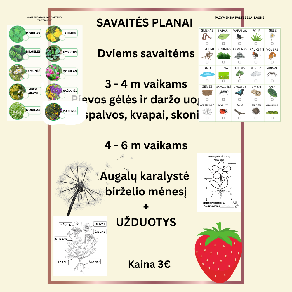 🎋 Dviejų savaičių ugdymo planų rinkinys 3–4 ir 4 - 6 metų vaikams 🌼 BIRŽELIO mėnesiui