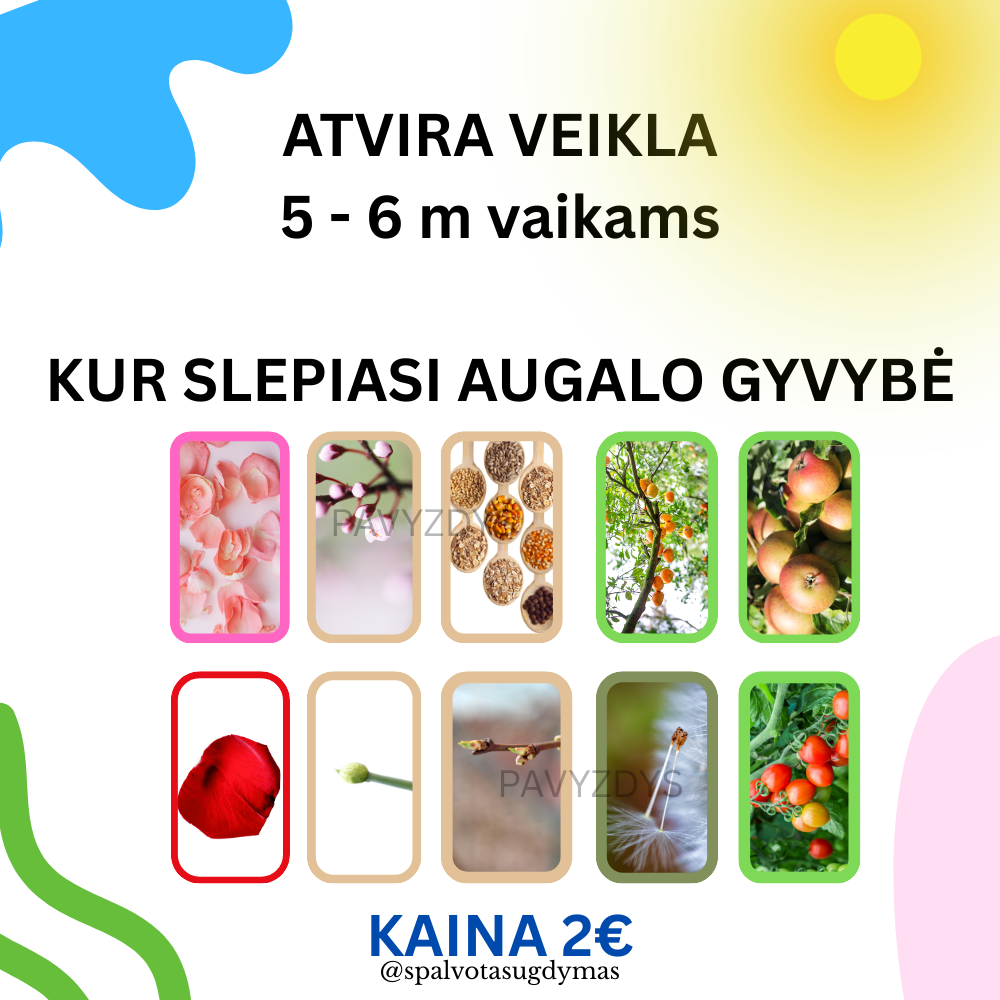ATVIRA VEIKLA 5–6 m. vaikams „Kur slepiasi augalo gyvybė?“