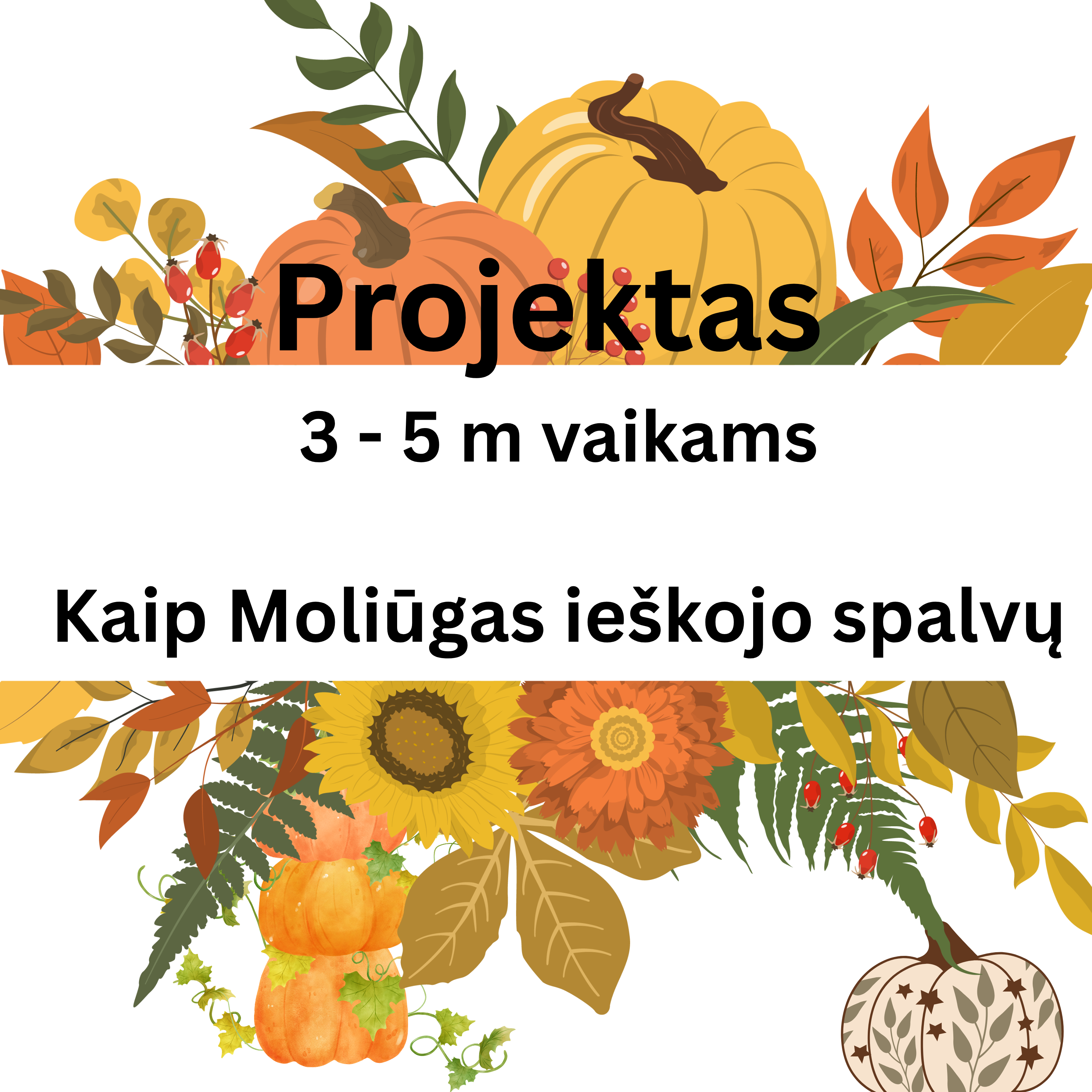 Projektas - Moliūgas, kuris ieškojo spalvų