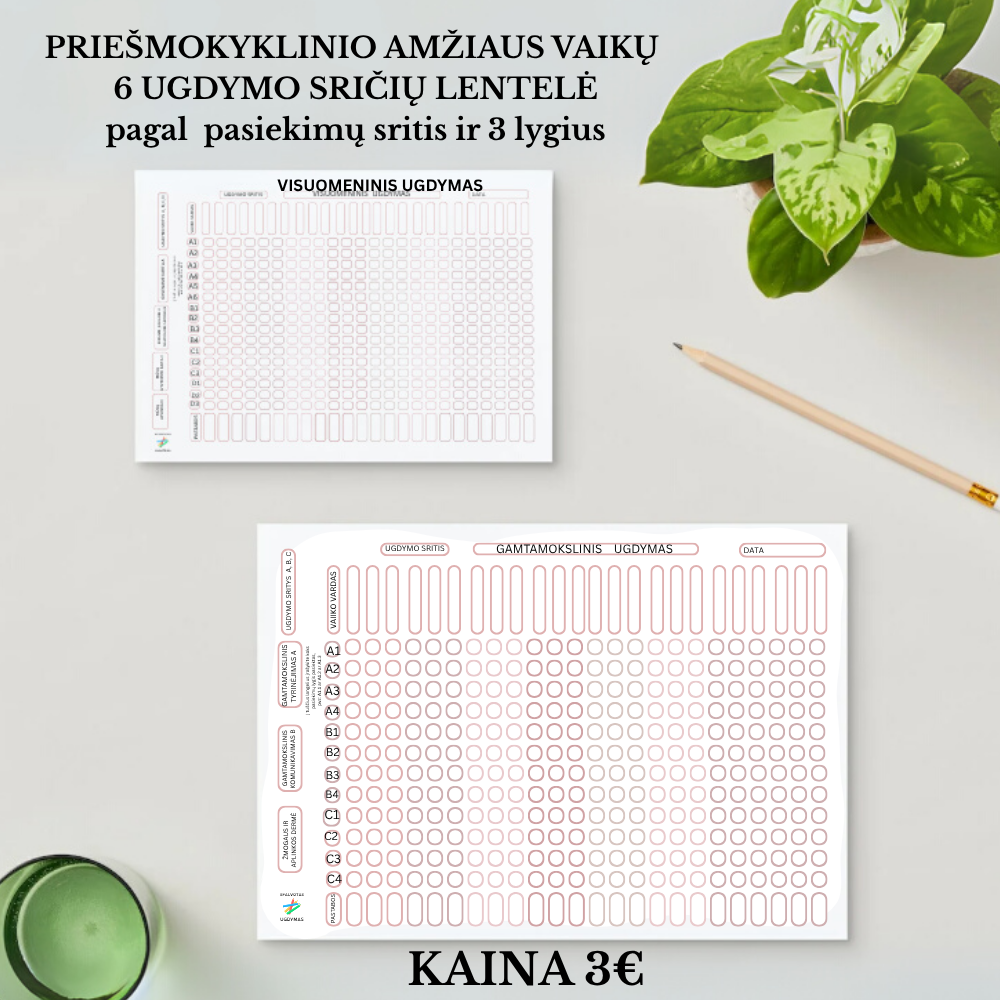 PRIEŠMOKYKLINIO AMŽIAUS VAIKŲ  6 UGDYMO SRIČIŲ LENTELĖ