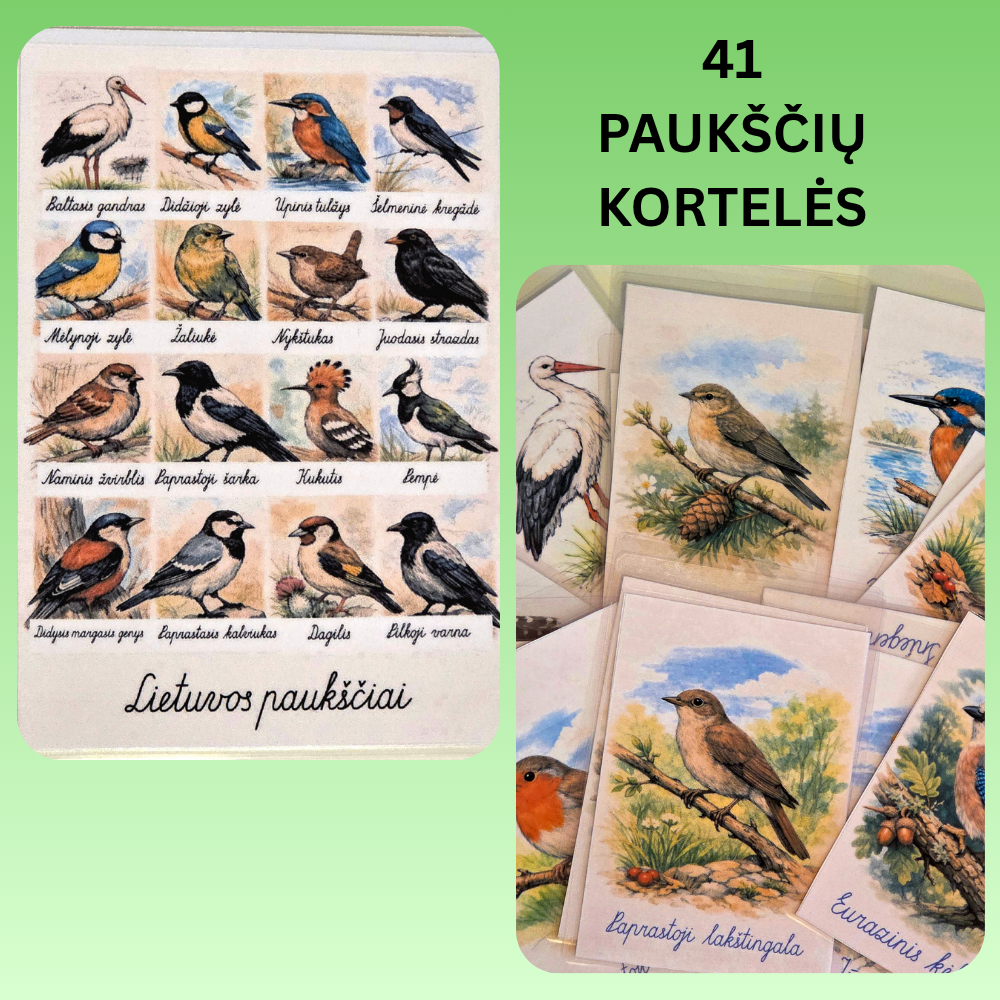 41 Lietuvos Paukščiai PDF formatu
