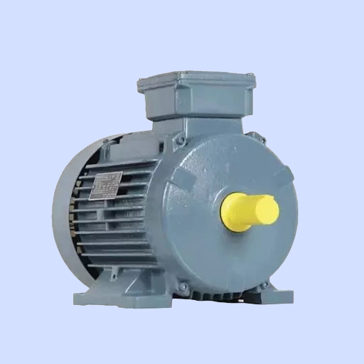 Havells Electric Motor