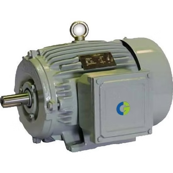 Crompton Greaves Electric Motor