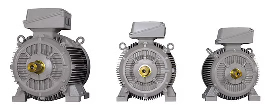 Crompton Greaves Electric Motor