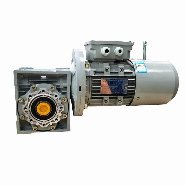Aluminium Worm Gear Motor