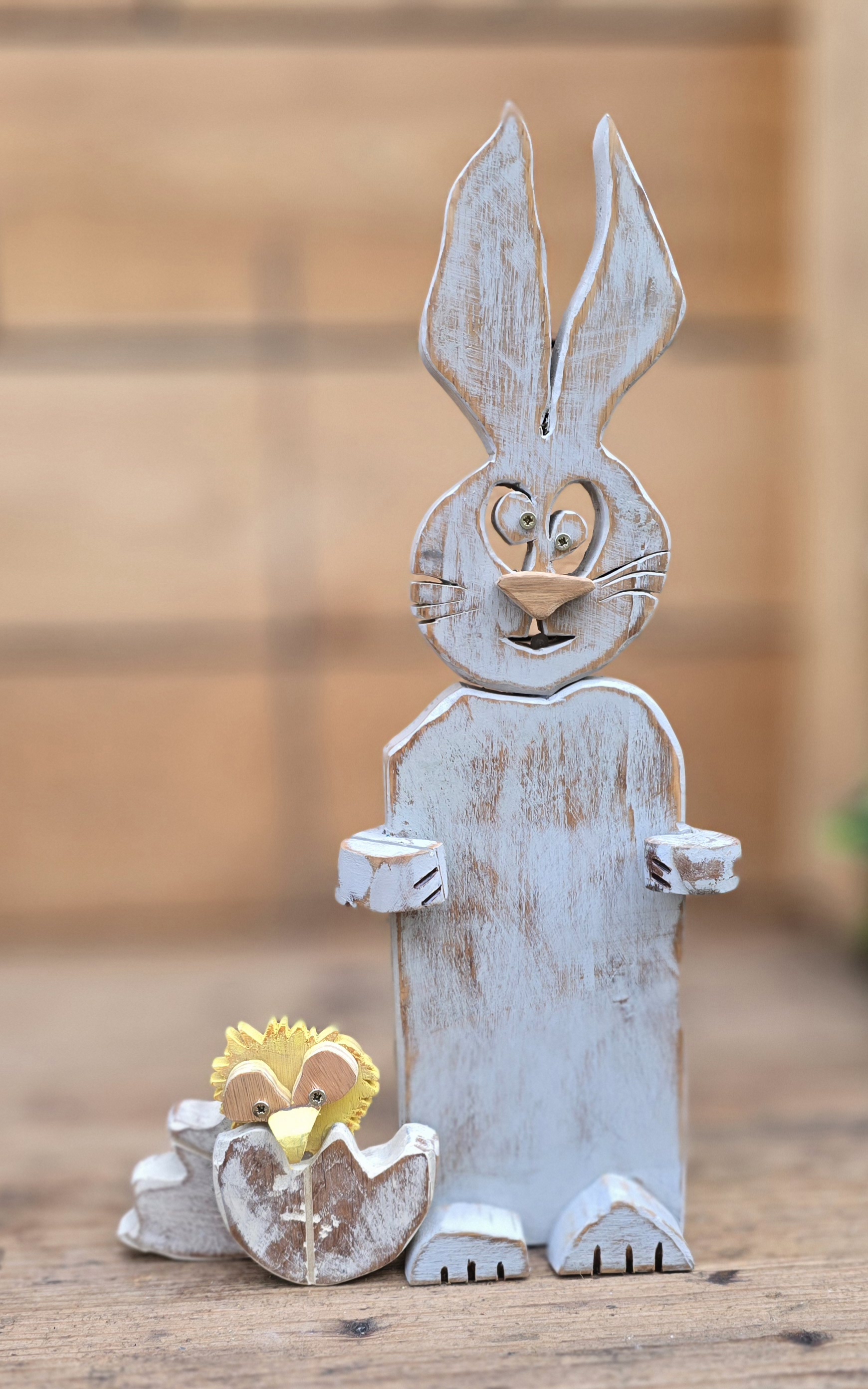 Crazy Bunny with Funny Chick