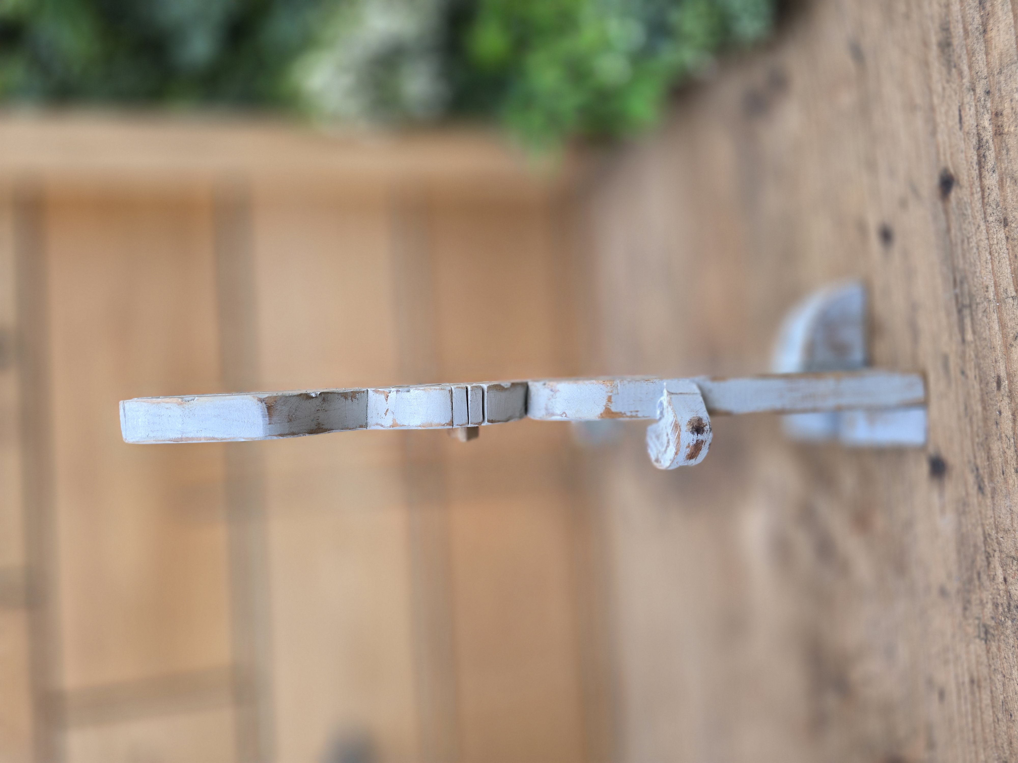 Crazy Bunny with Funny Chick