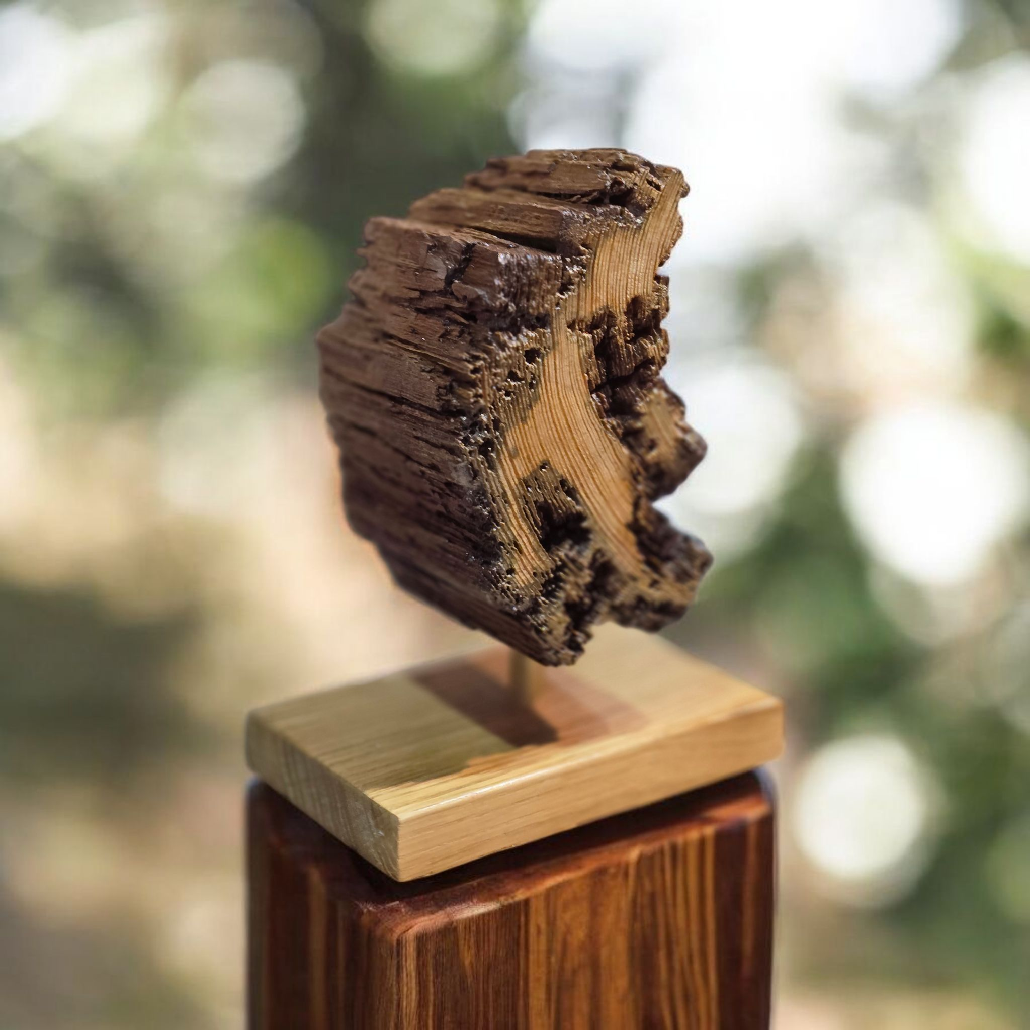 Decorative Driftwood Sculpture