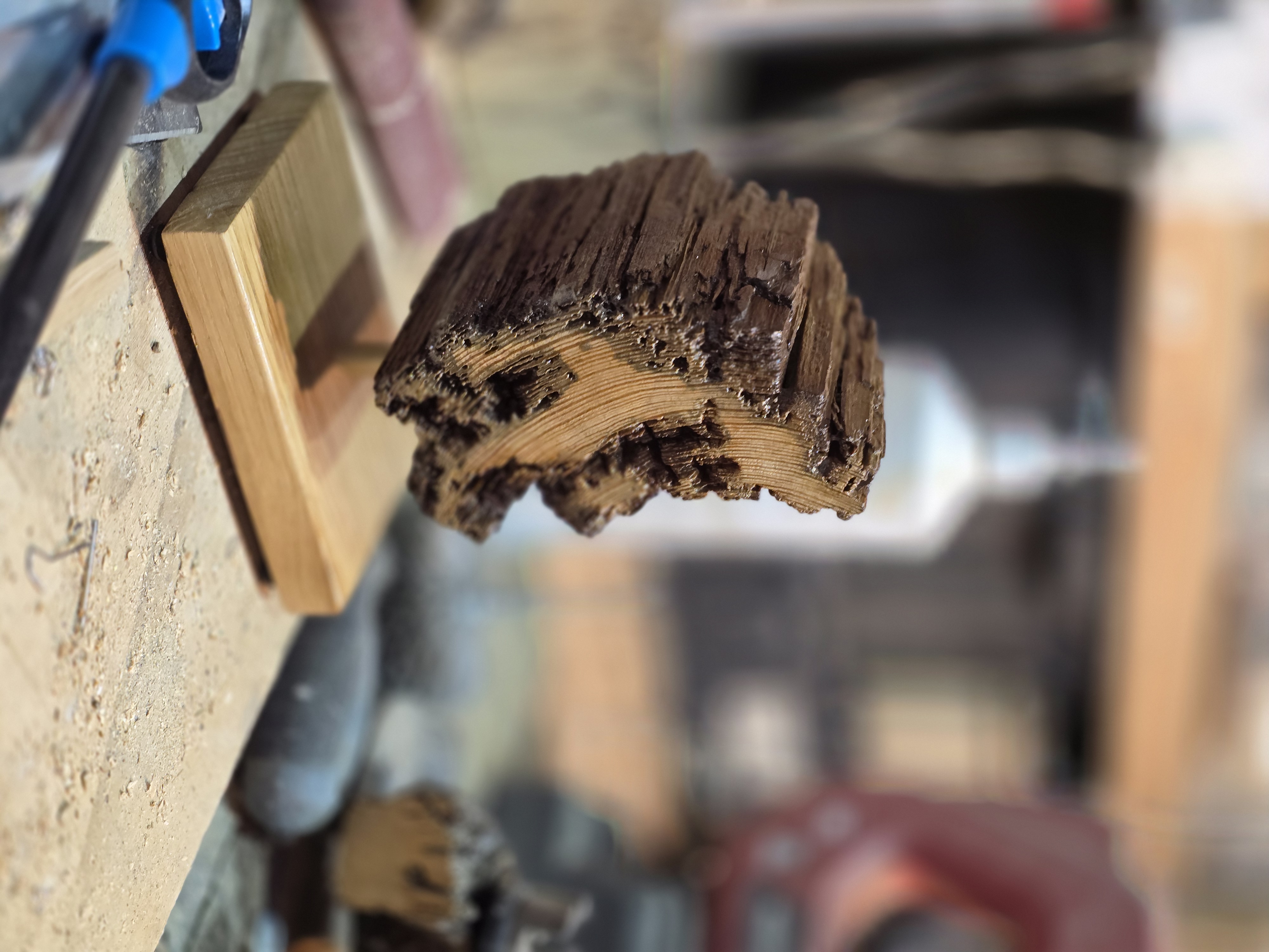 Decorative Driftwood Sculpture