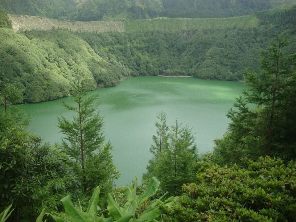 Scenic Nature Photograph