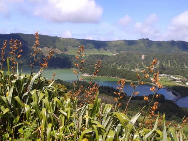 Scenic Landscape Photograph