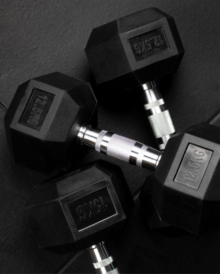 12.5 kg Dumbbell (Set of 2)