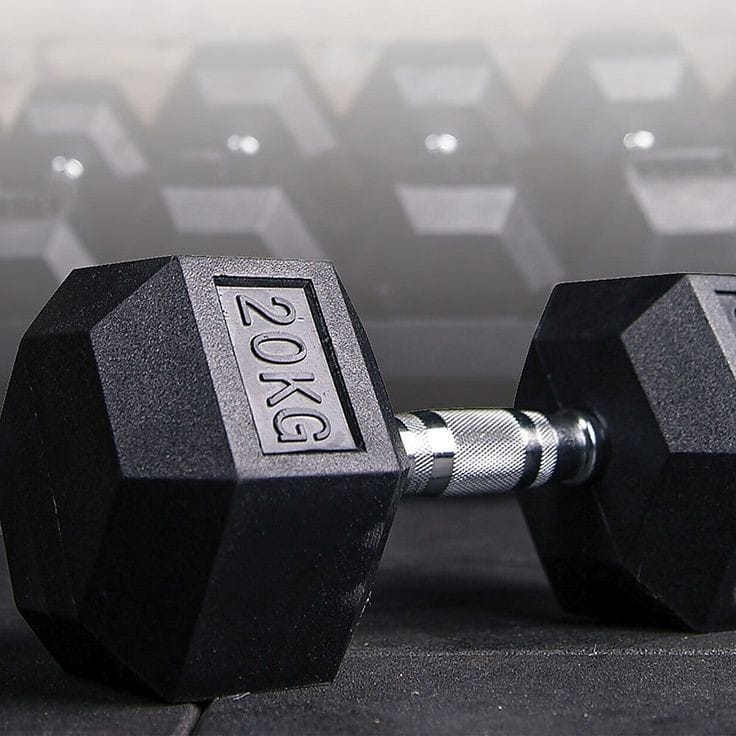 20 kg Dumbbell (Set of 2)