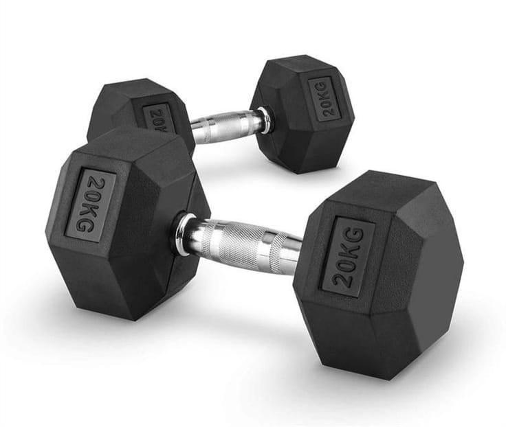 20 kg Dumbbell (Set of 2)