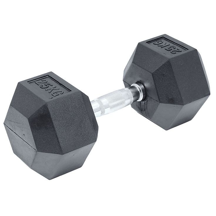 25 kg Dumbbell (Set of 2)