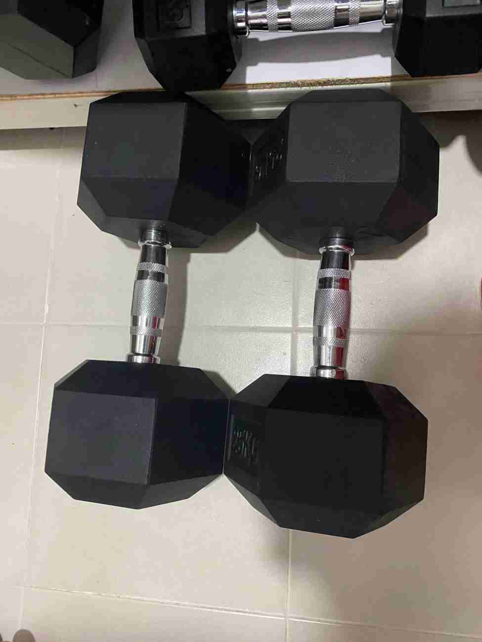 25 kg Dumbbell (Set of 2)