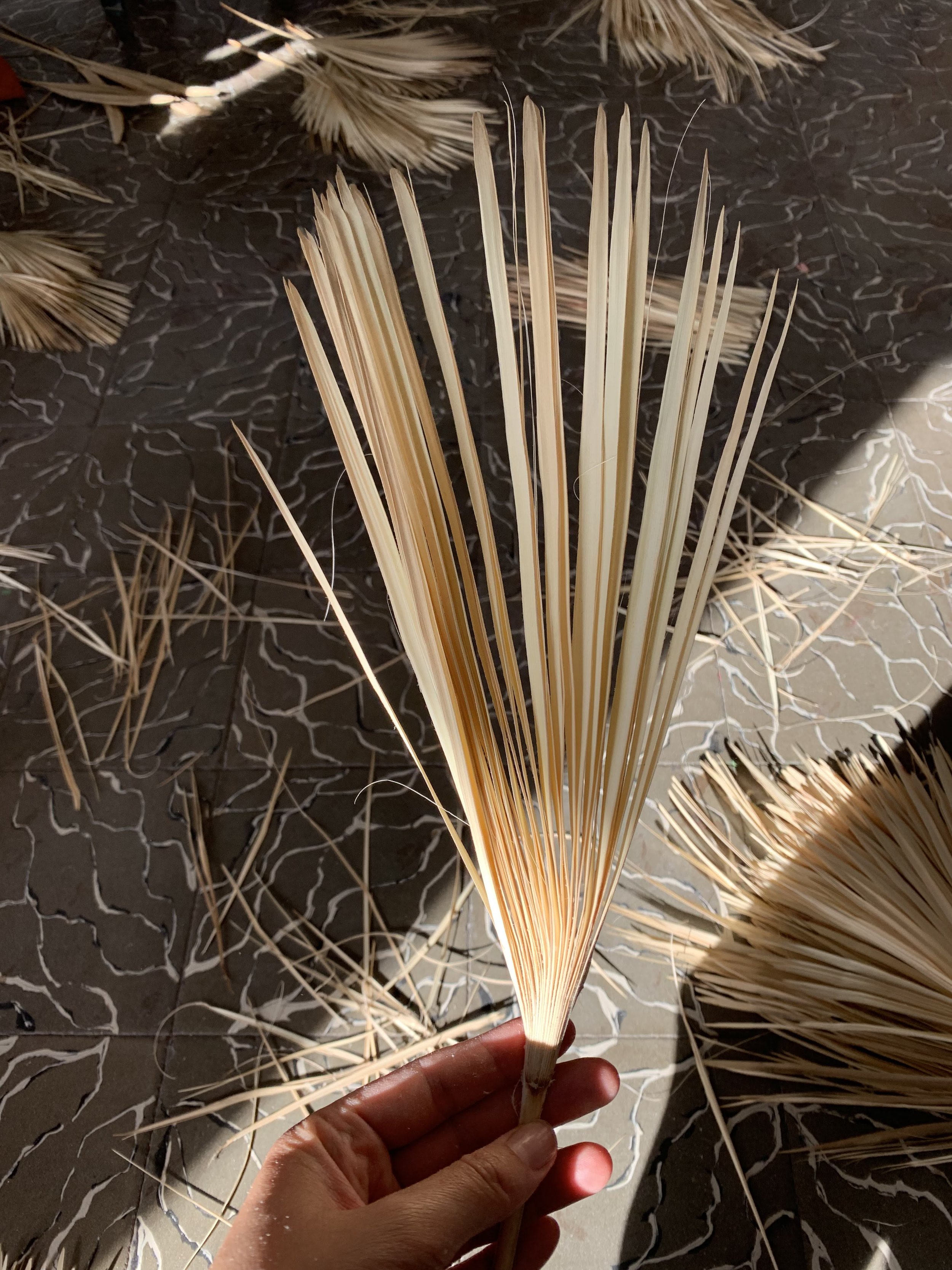 Reserva 30% viaje BALEARES | Mallorca | MAYO 2025