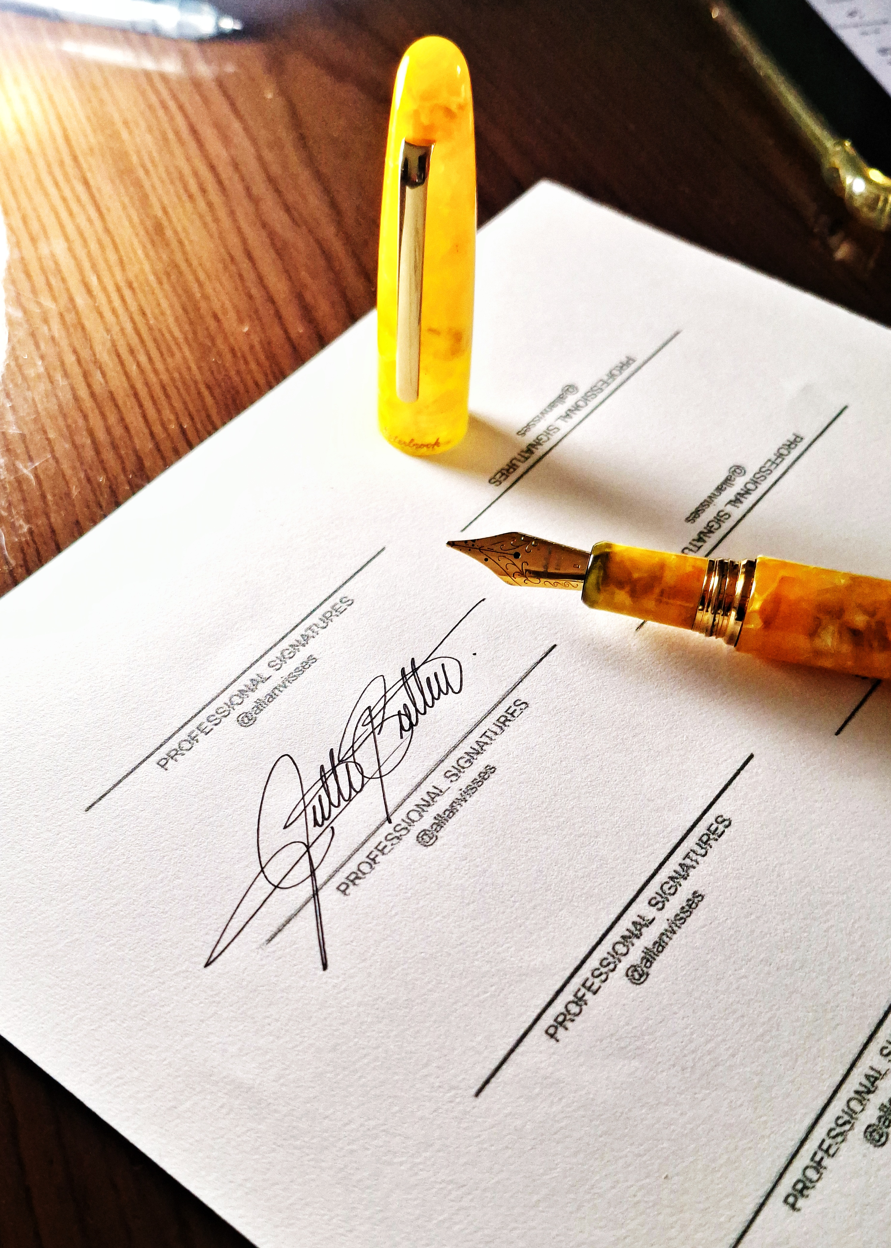 Professional Signature