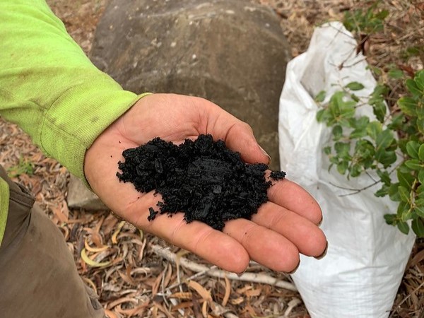Premium Biochar
