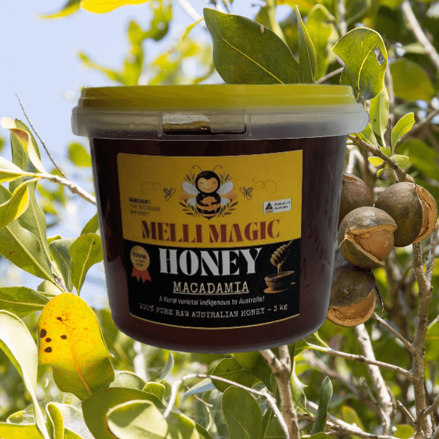Macadamia Honey