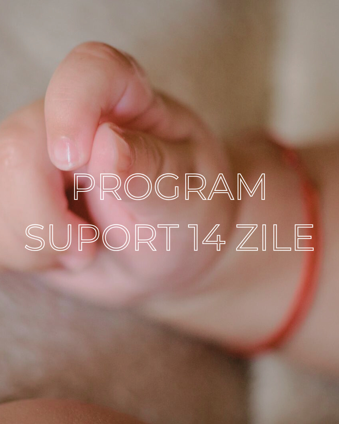 Program suport 14 zile