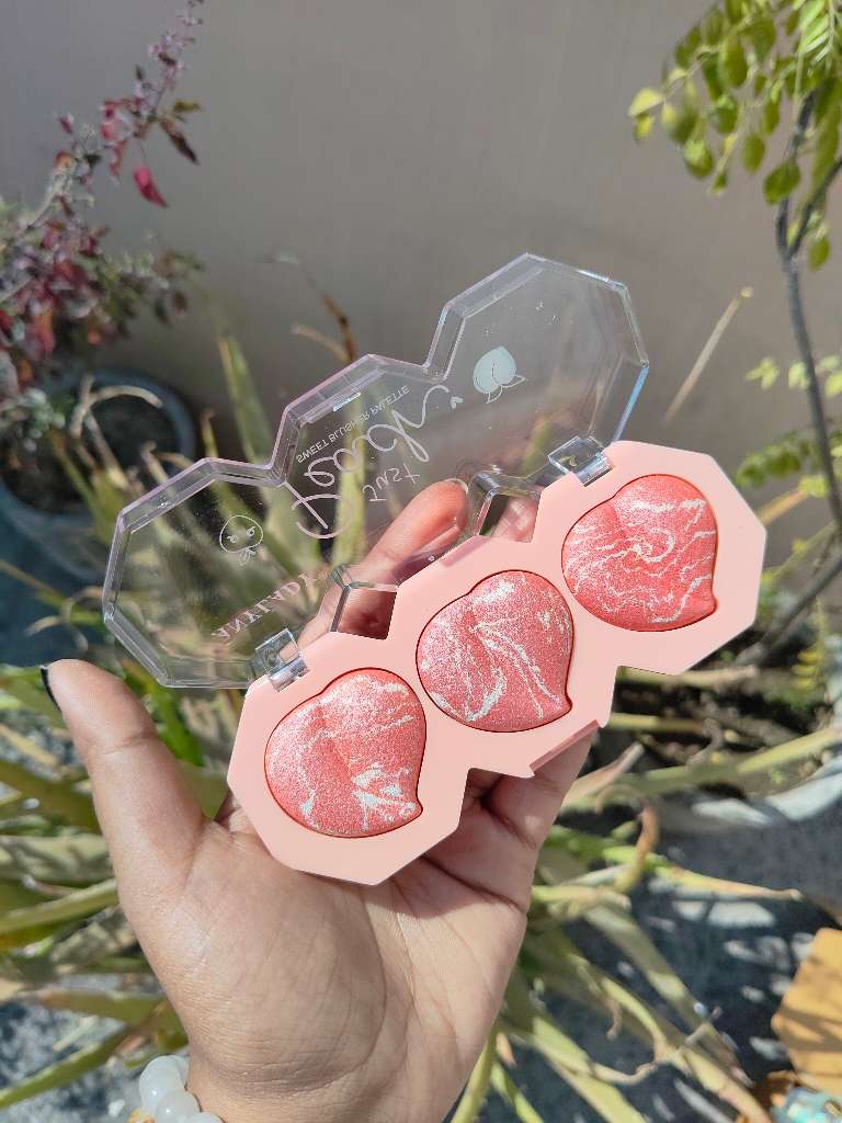 Peachy Blush Highlight Palette 