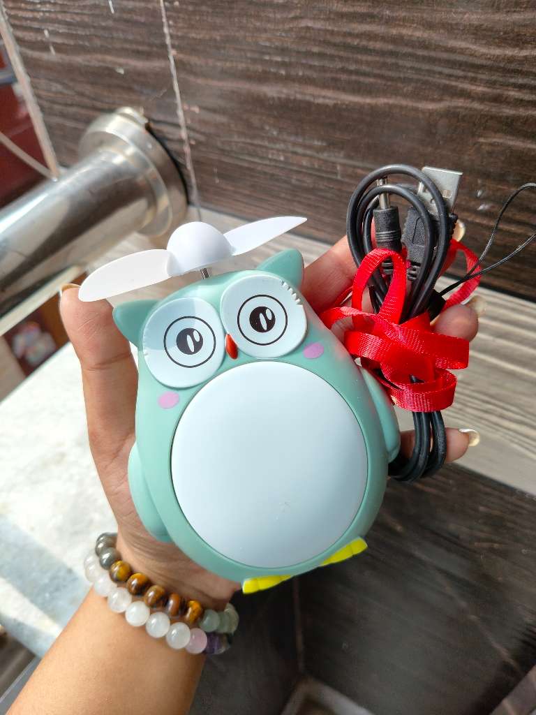 Owl Fan with Light 