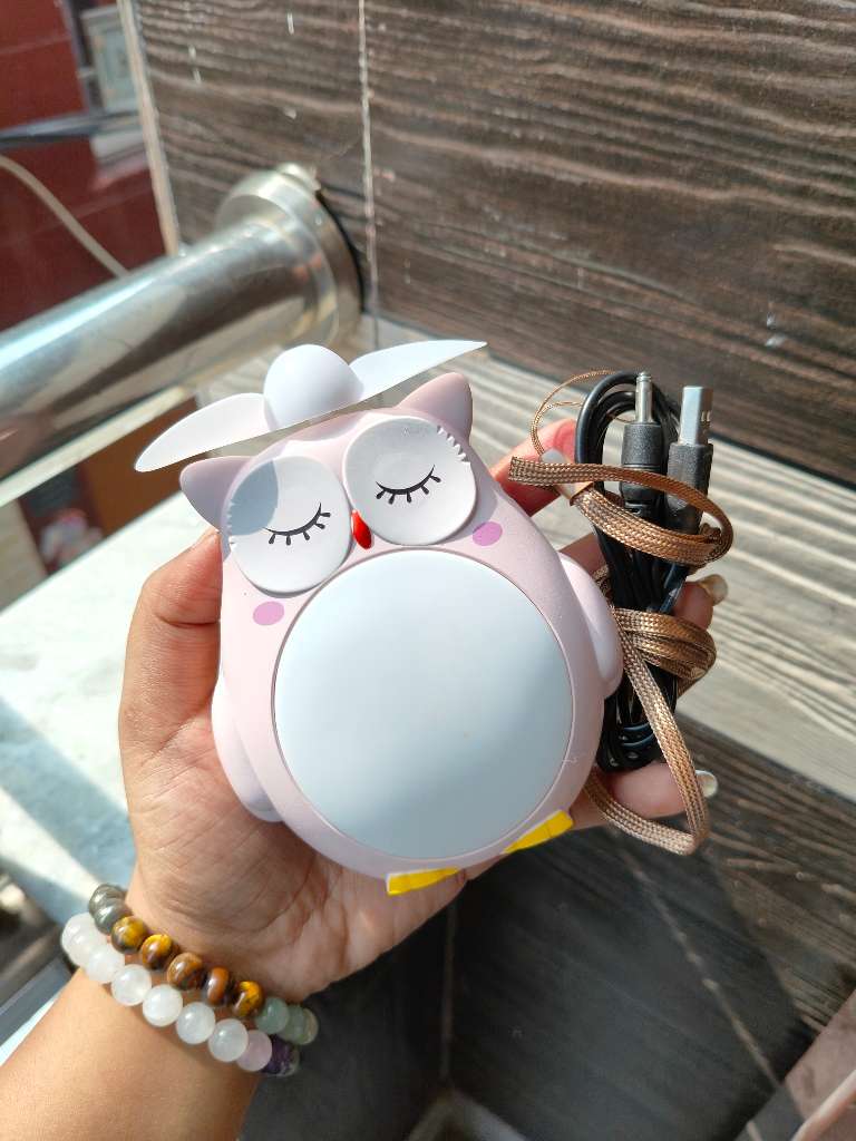 Owl Fan with Light 