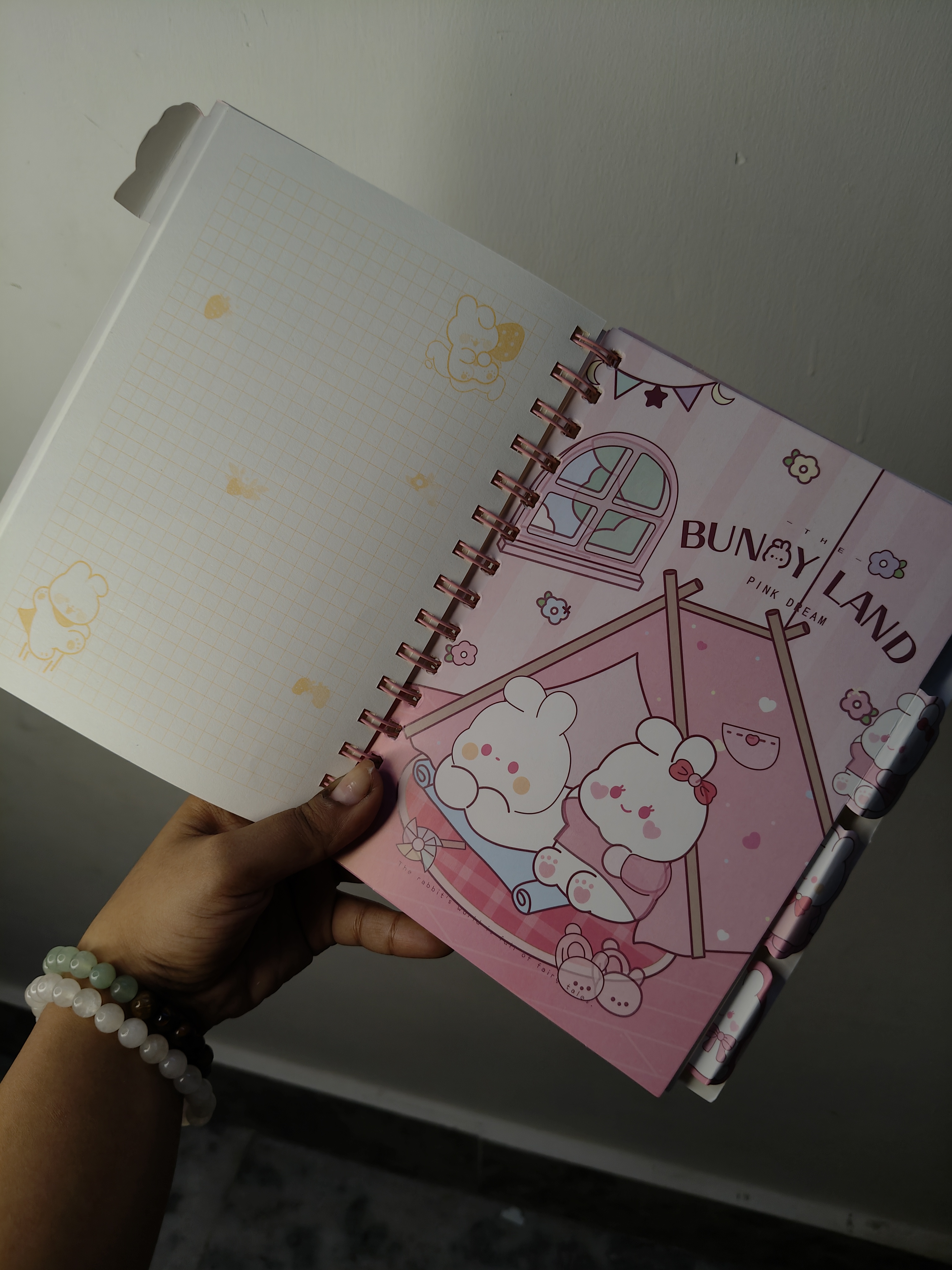 Spiral Bunny Land Diary 