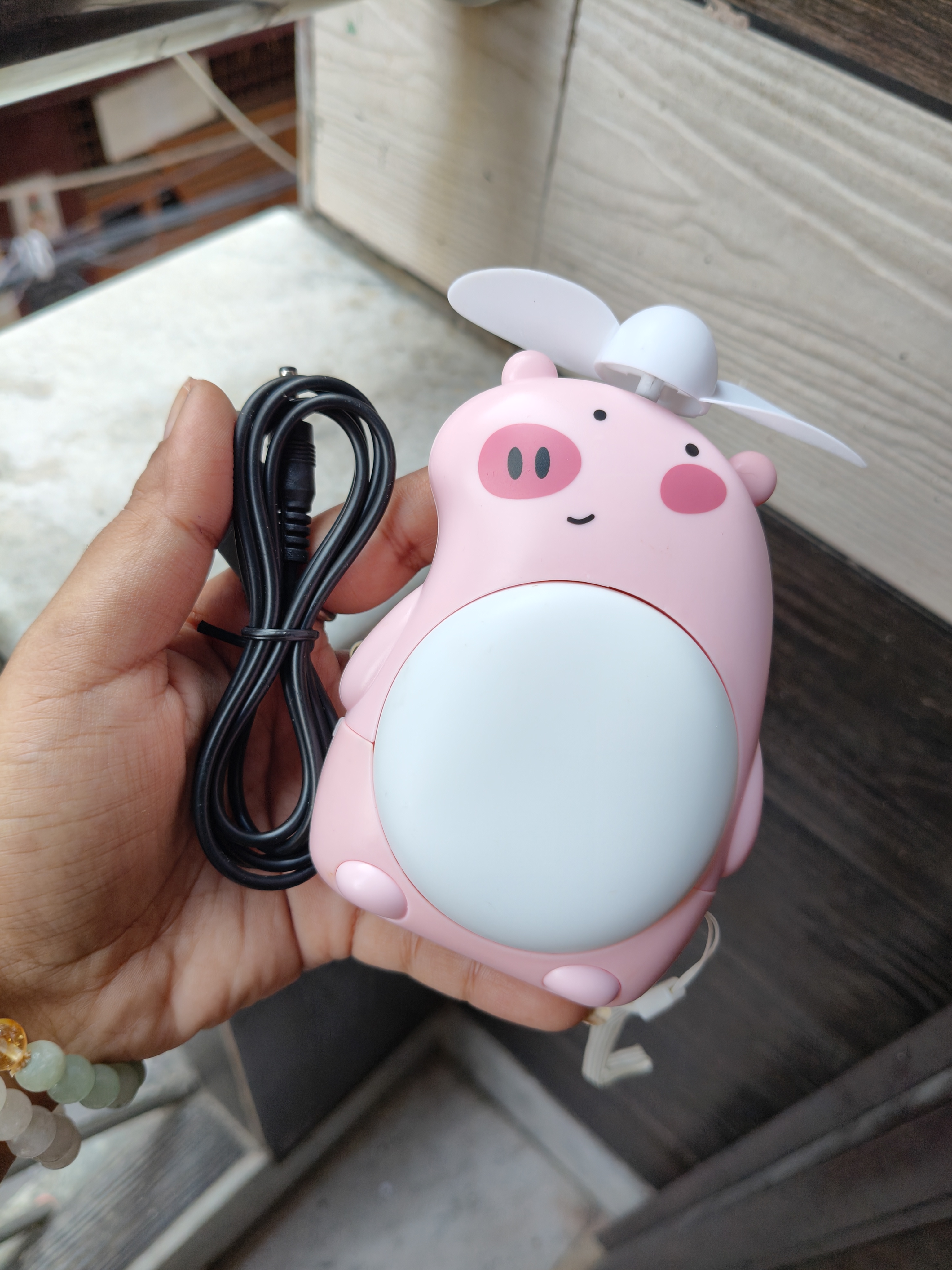 Pig Panda Bear Fan with Light 