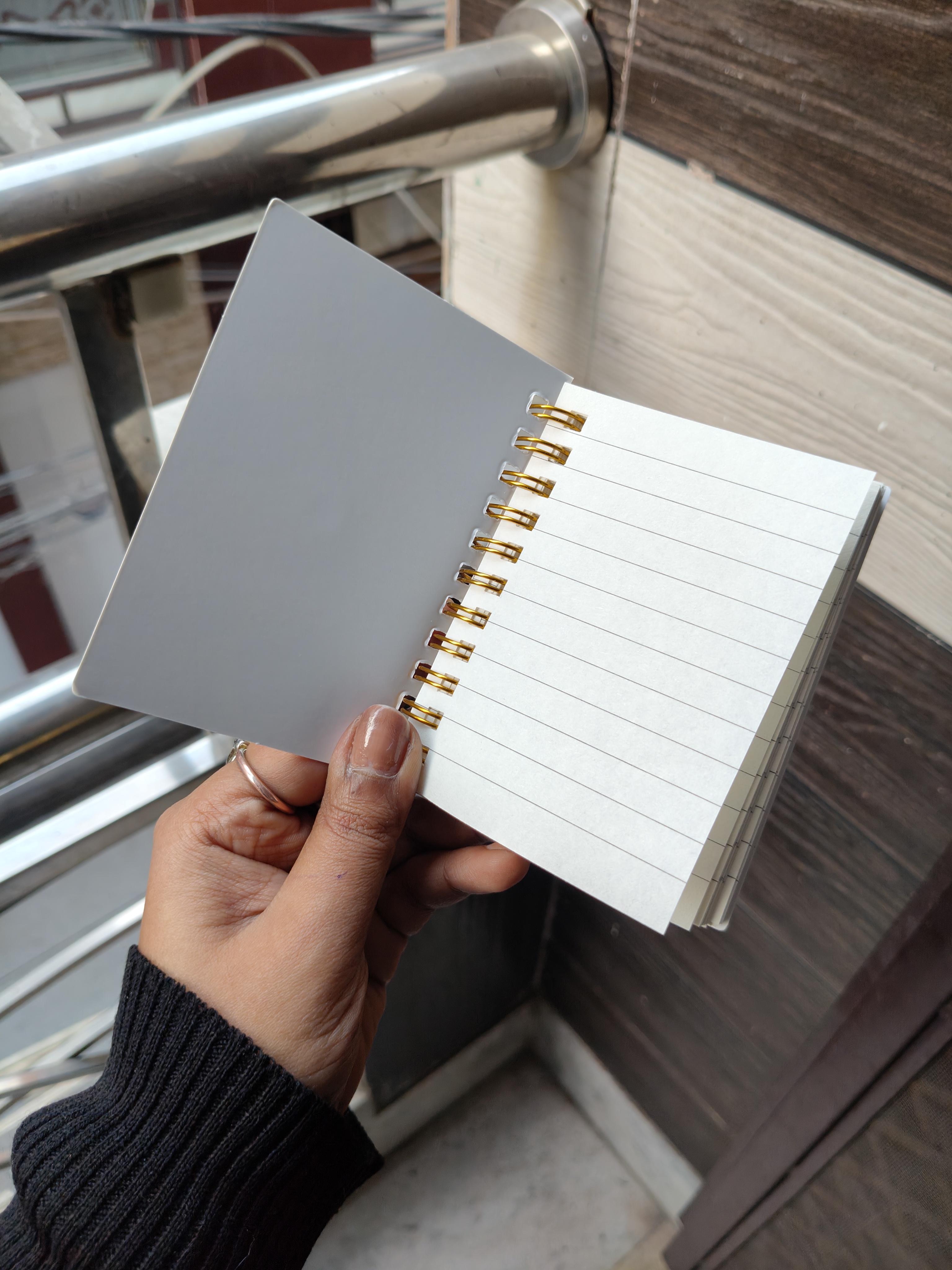 Spinner Capy Bara Diary