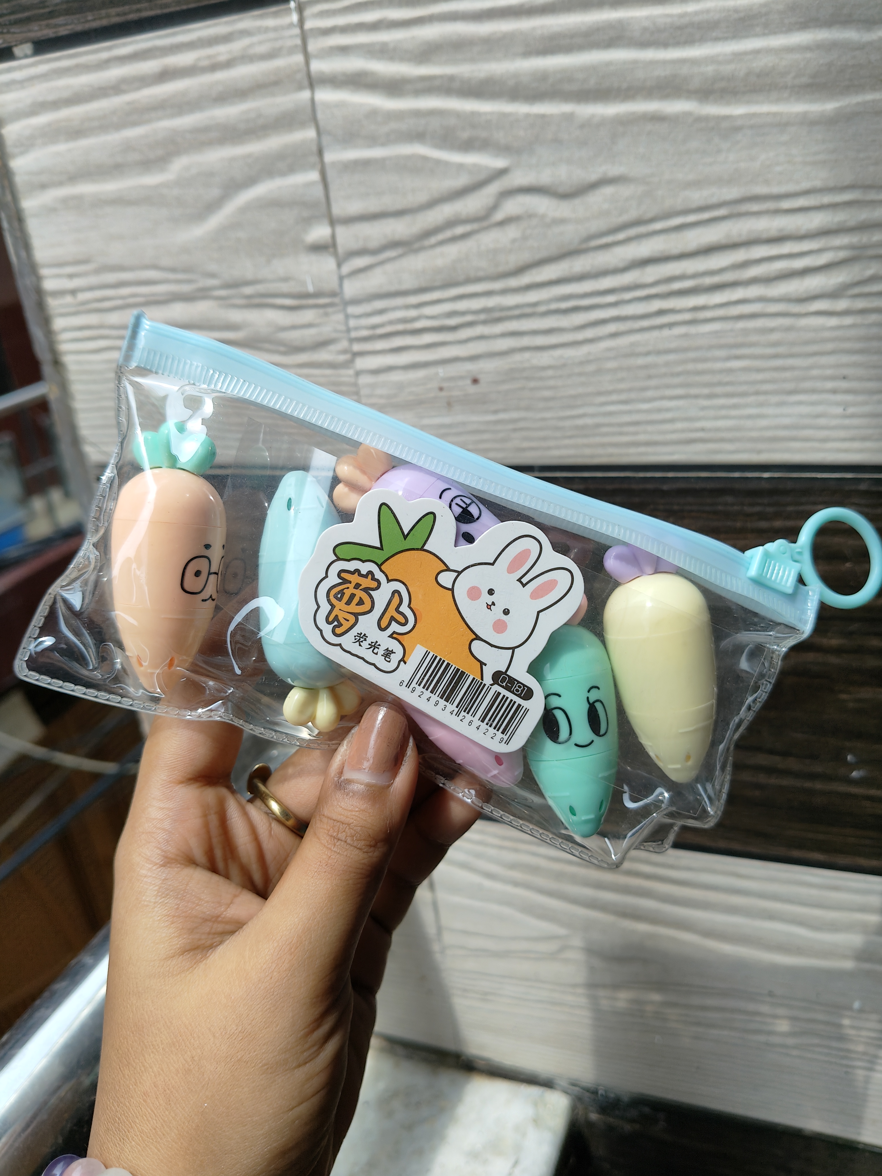 Carrot Highlighters (Set of 6)