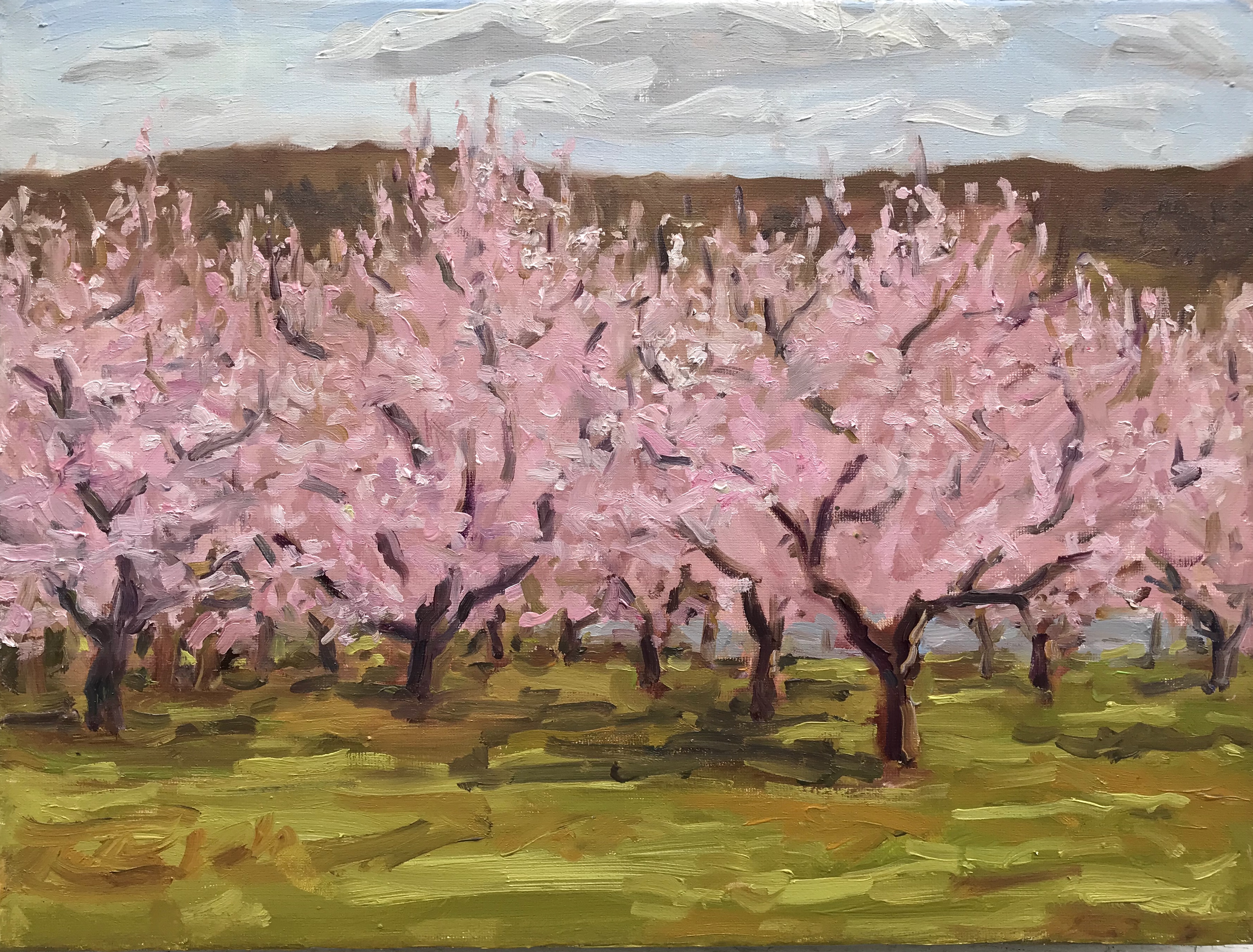 Pink Orchard
