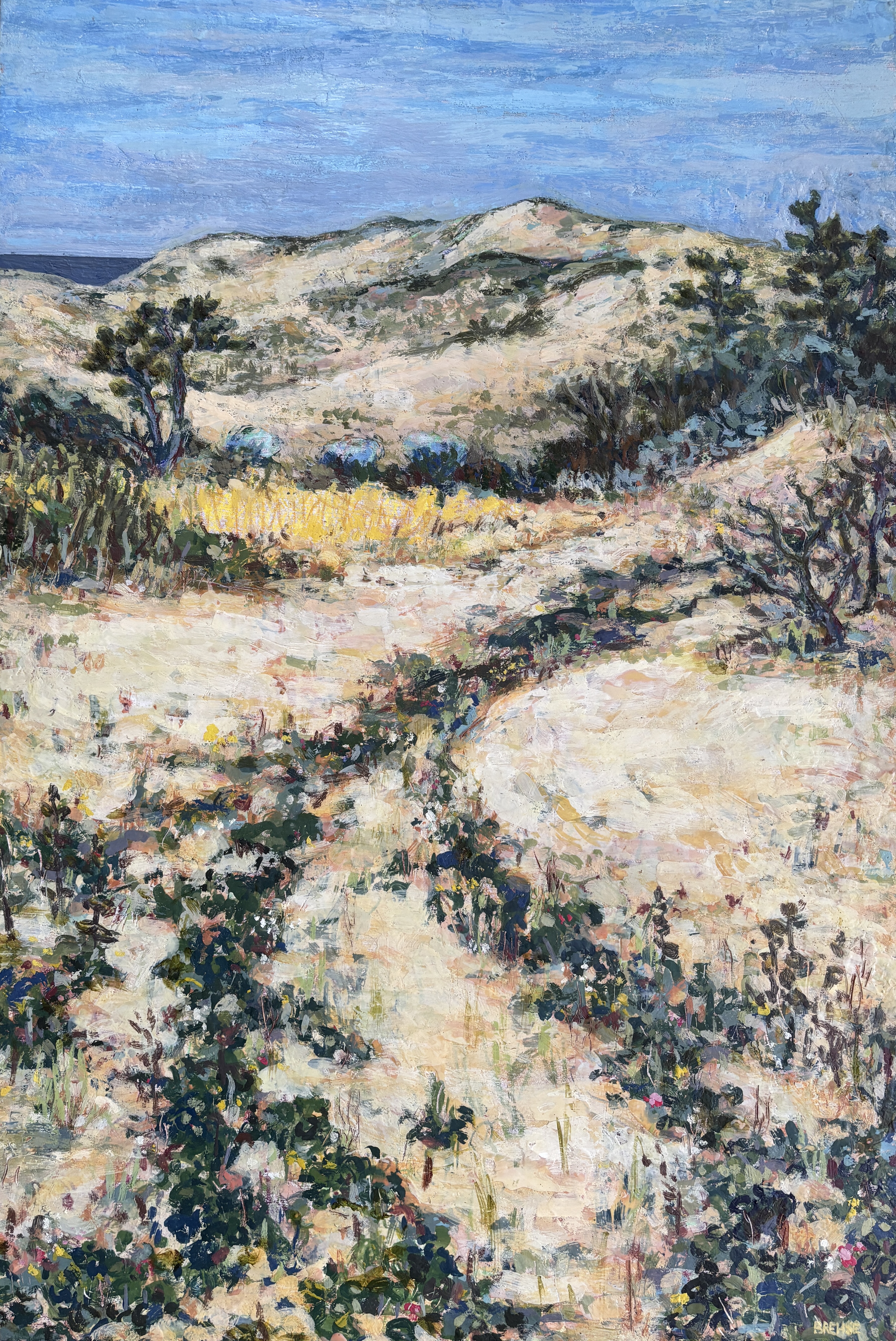 Outer Cape Dunes Trail 24x36