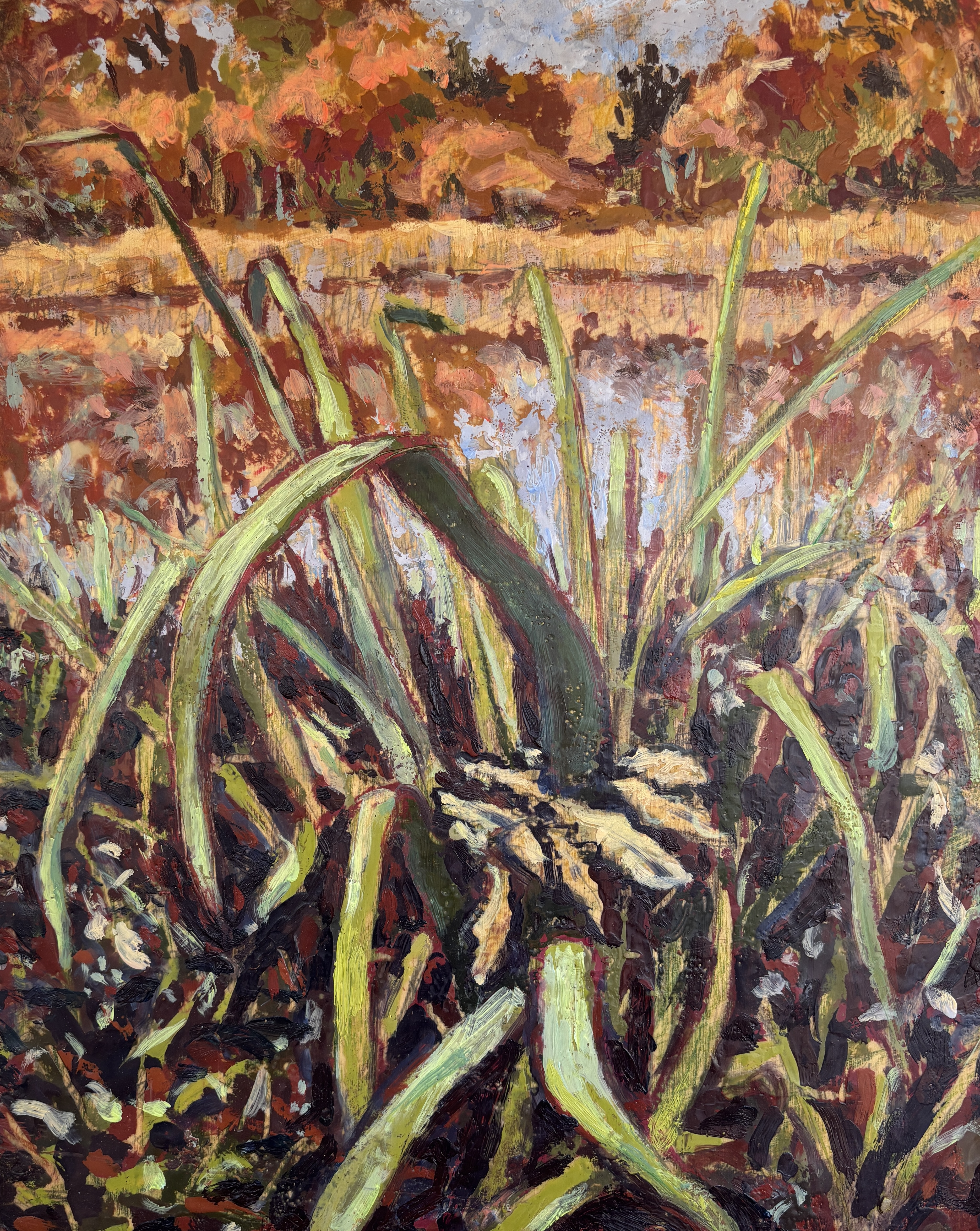 Valkill Pond 2 - 12x15 