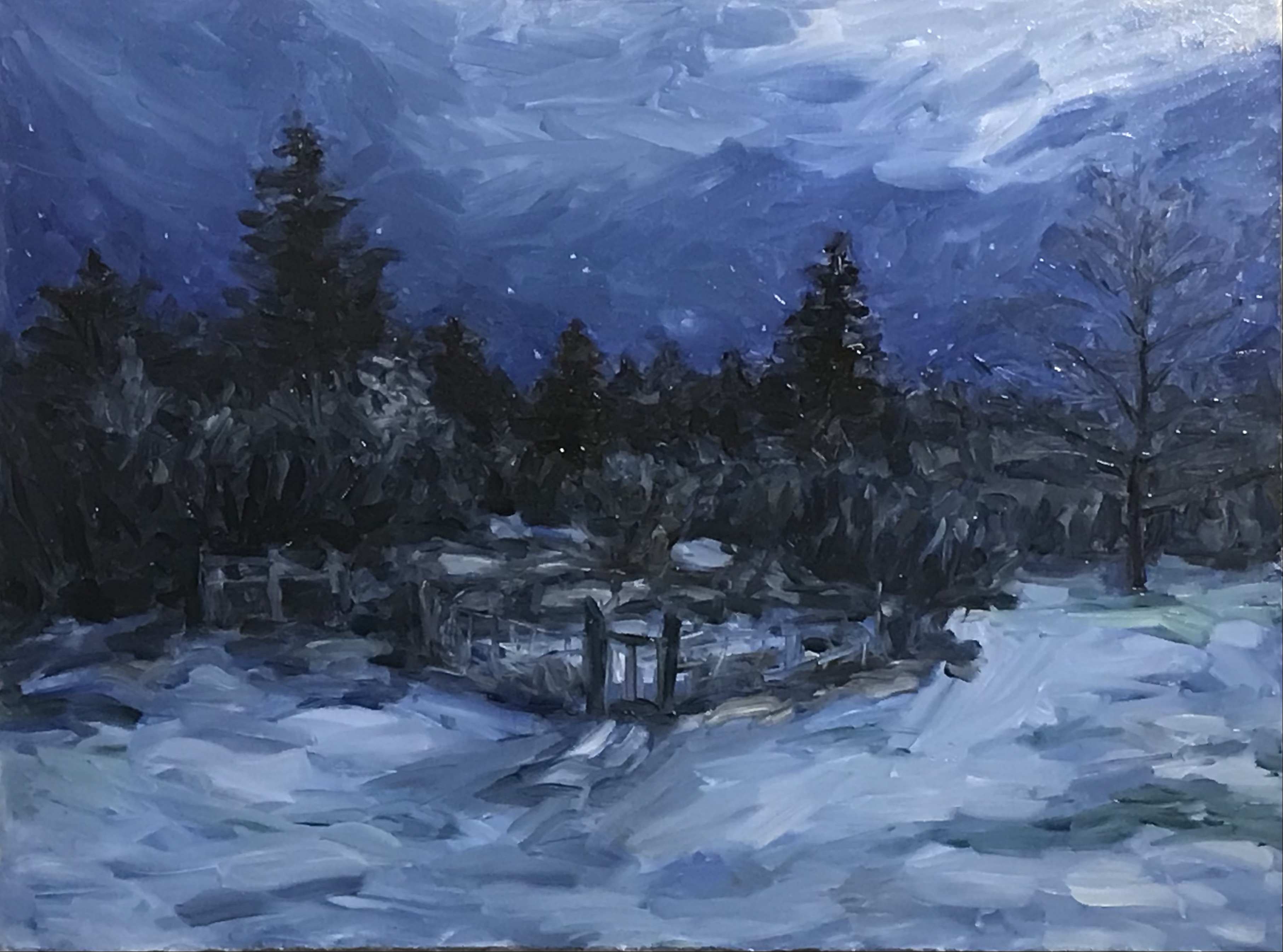 Night Garden in Winter - 16x20