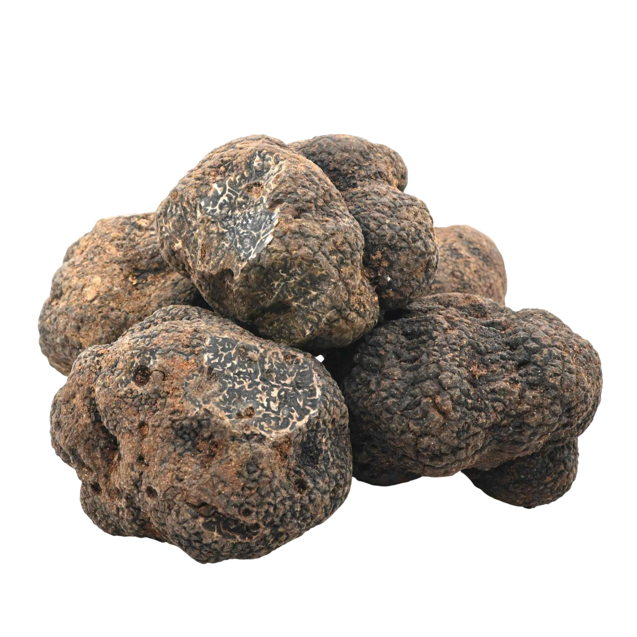 Tartufo nero pregiato "Tuber Melanosporum"