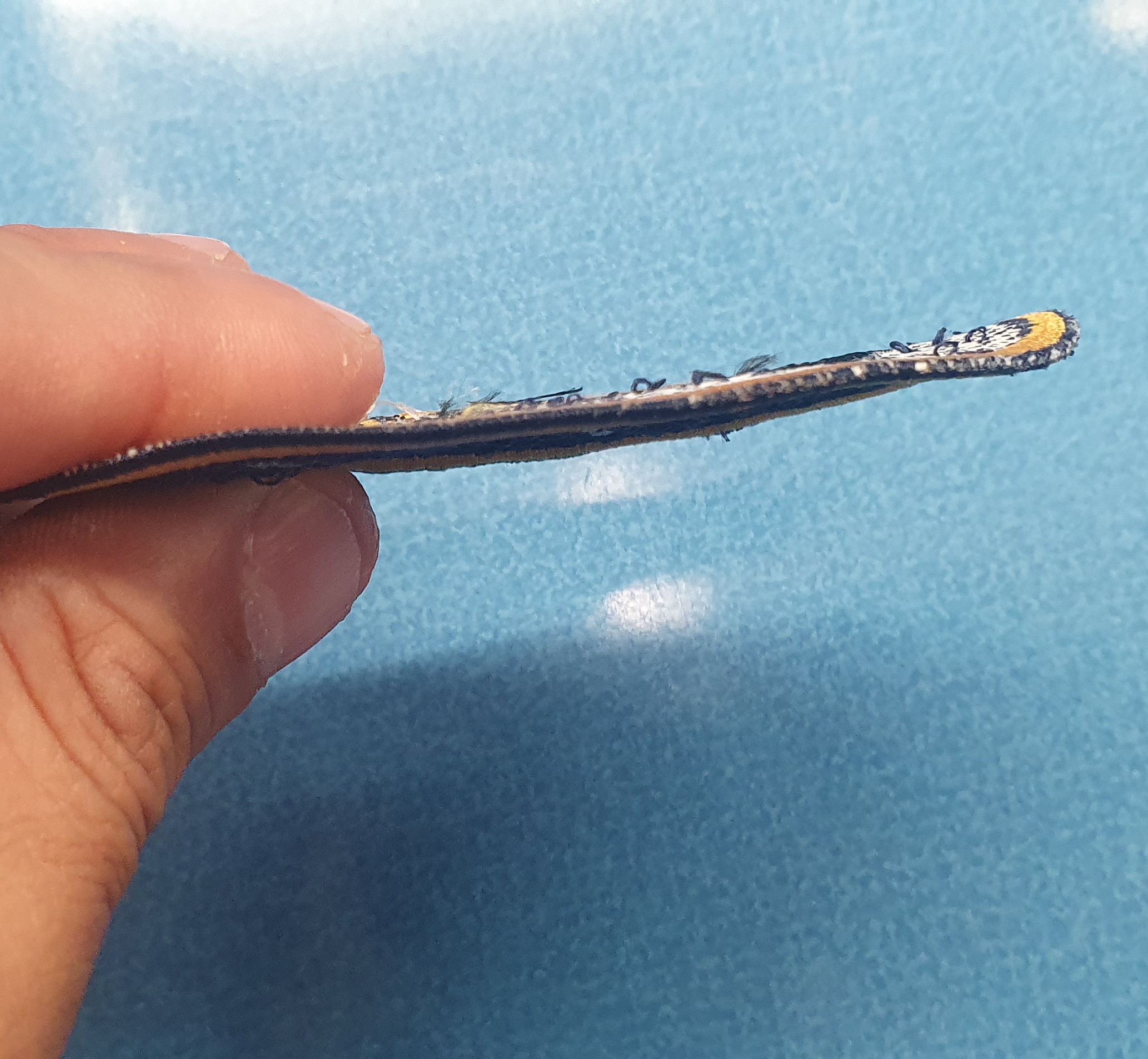 Deutsche Marine Abzeichen