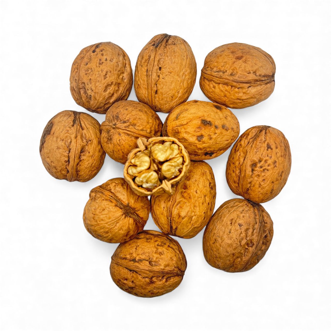 Kashmiri Inshell Jumbo Cogzi Walnuts 500g