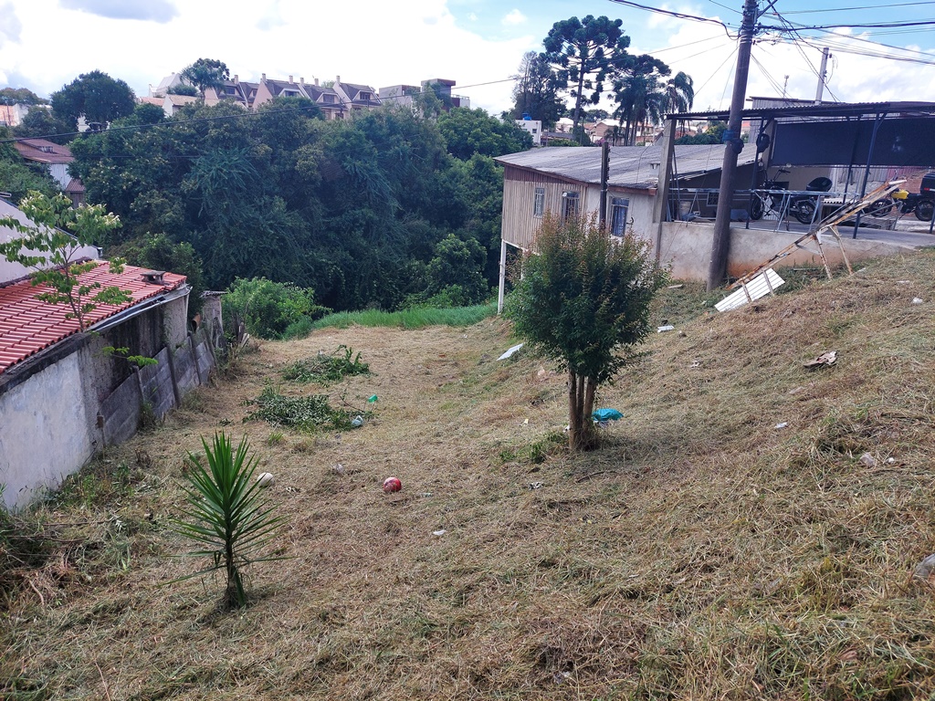 Terreno Amplo no Uberaba a 400m da Salgado Filho – Ideal para Construção de 3 Sobrados amplos