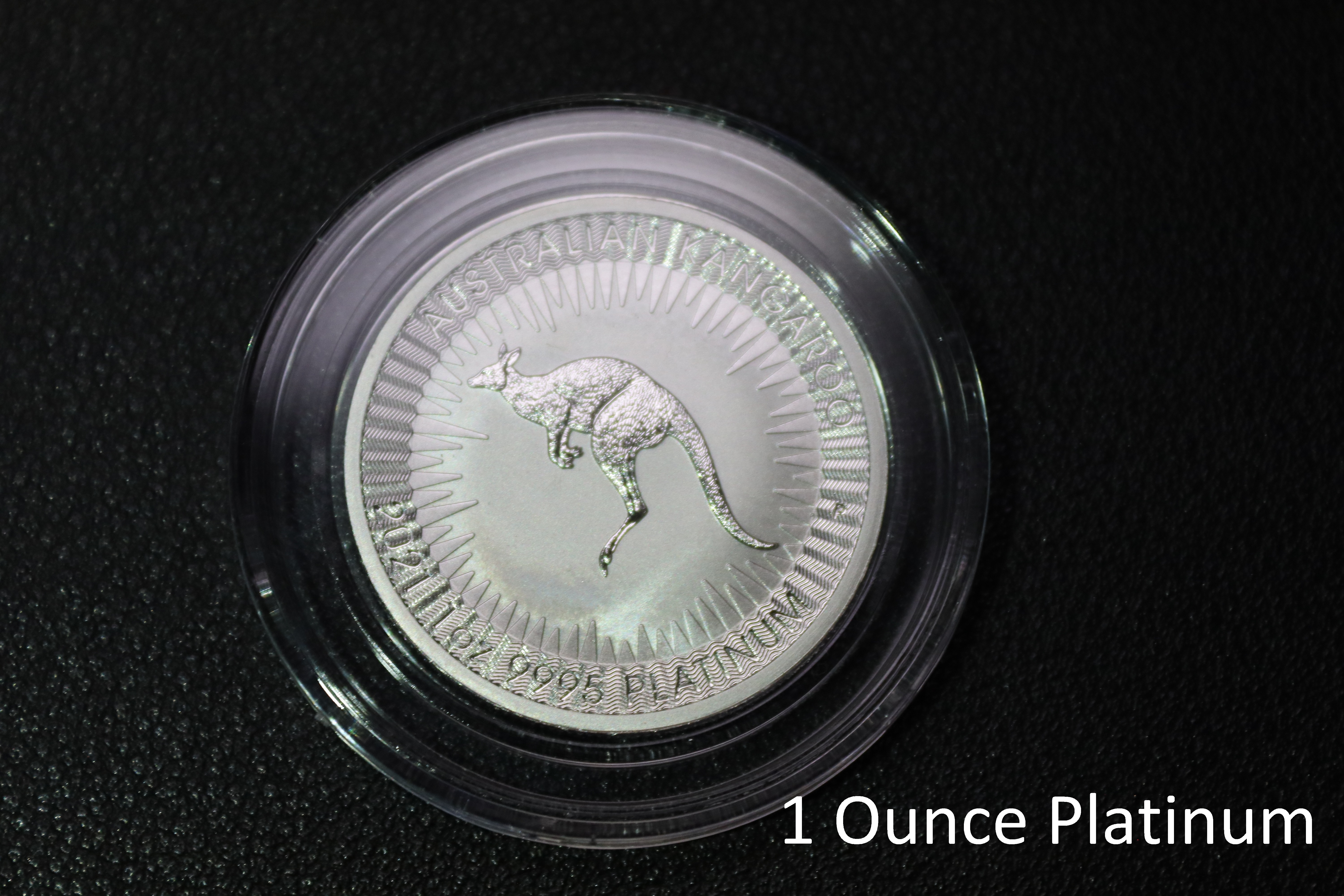 1 Troy Once Platinum Coin