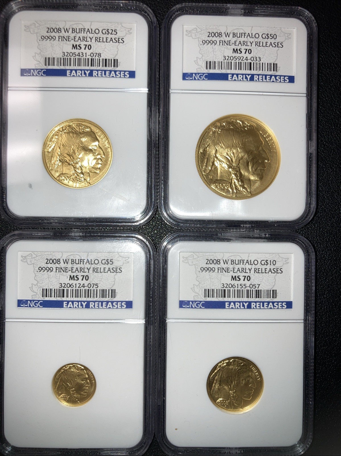 2008-W Buffalo Fractional Set MS-70 Early Release 4 Coin Set