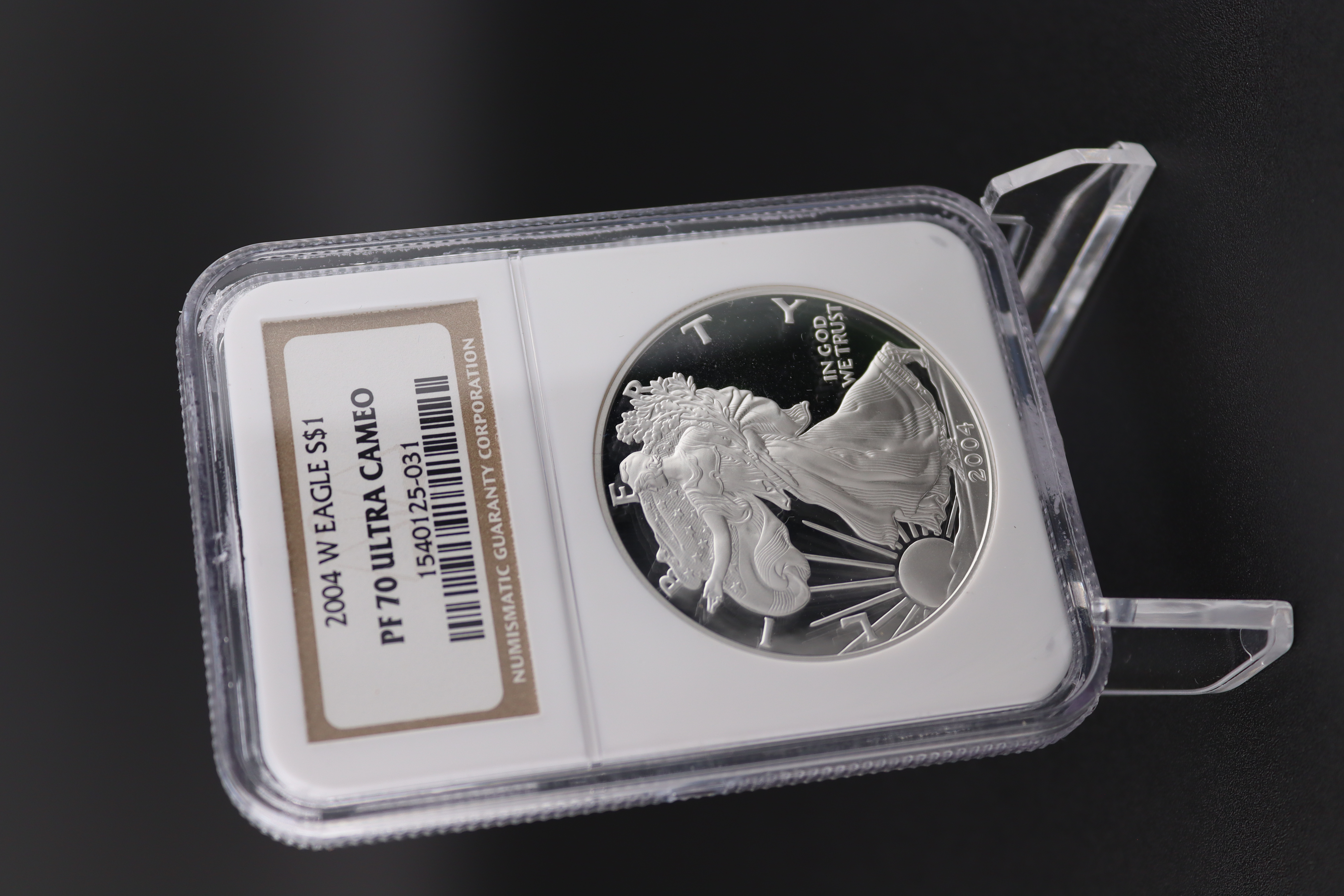 2004 American Silver Eagle Proof Coin