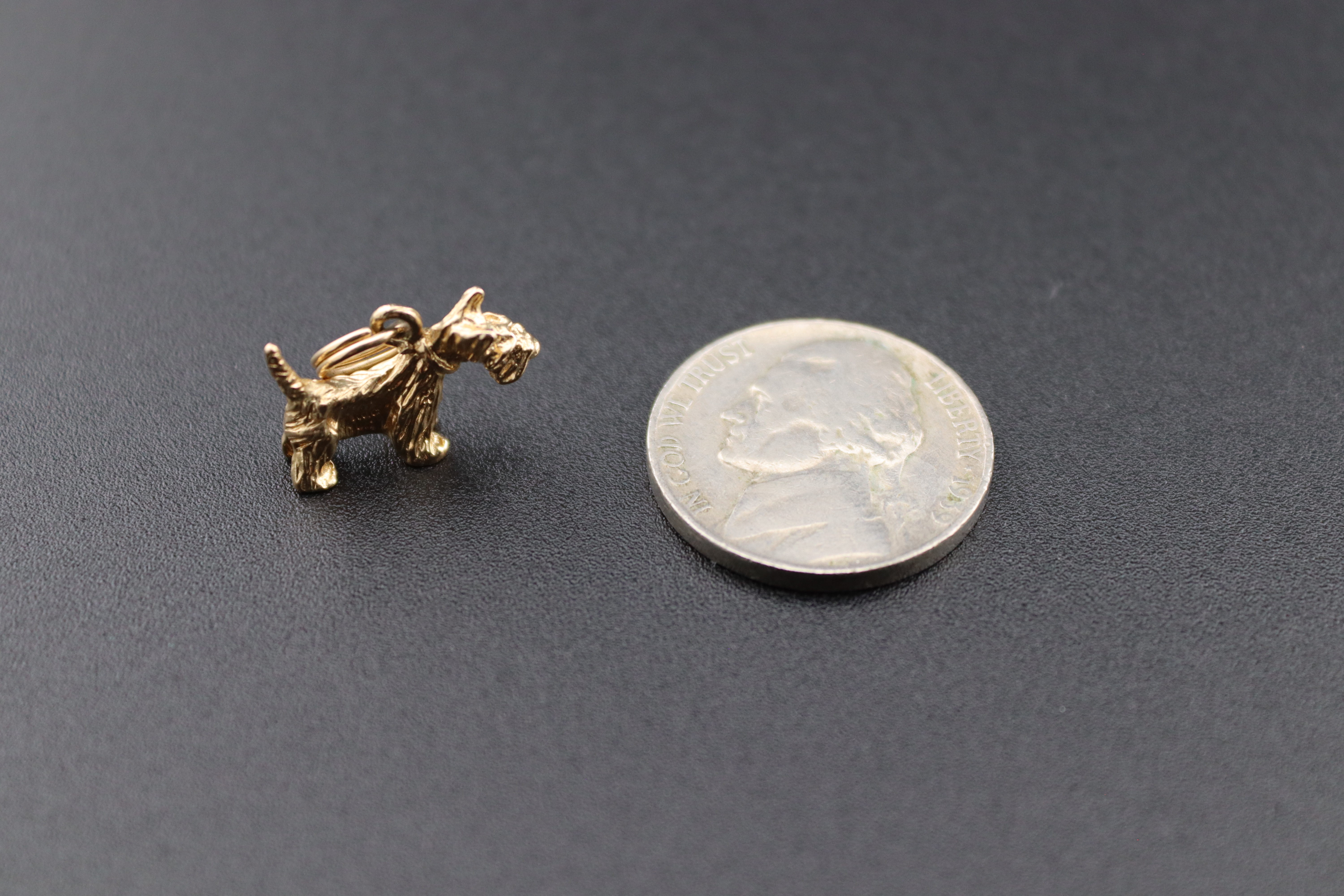 10K Gold Armadillo Charm
