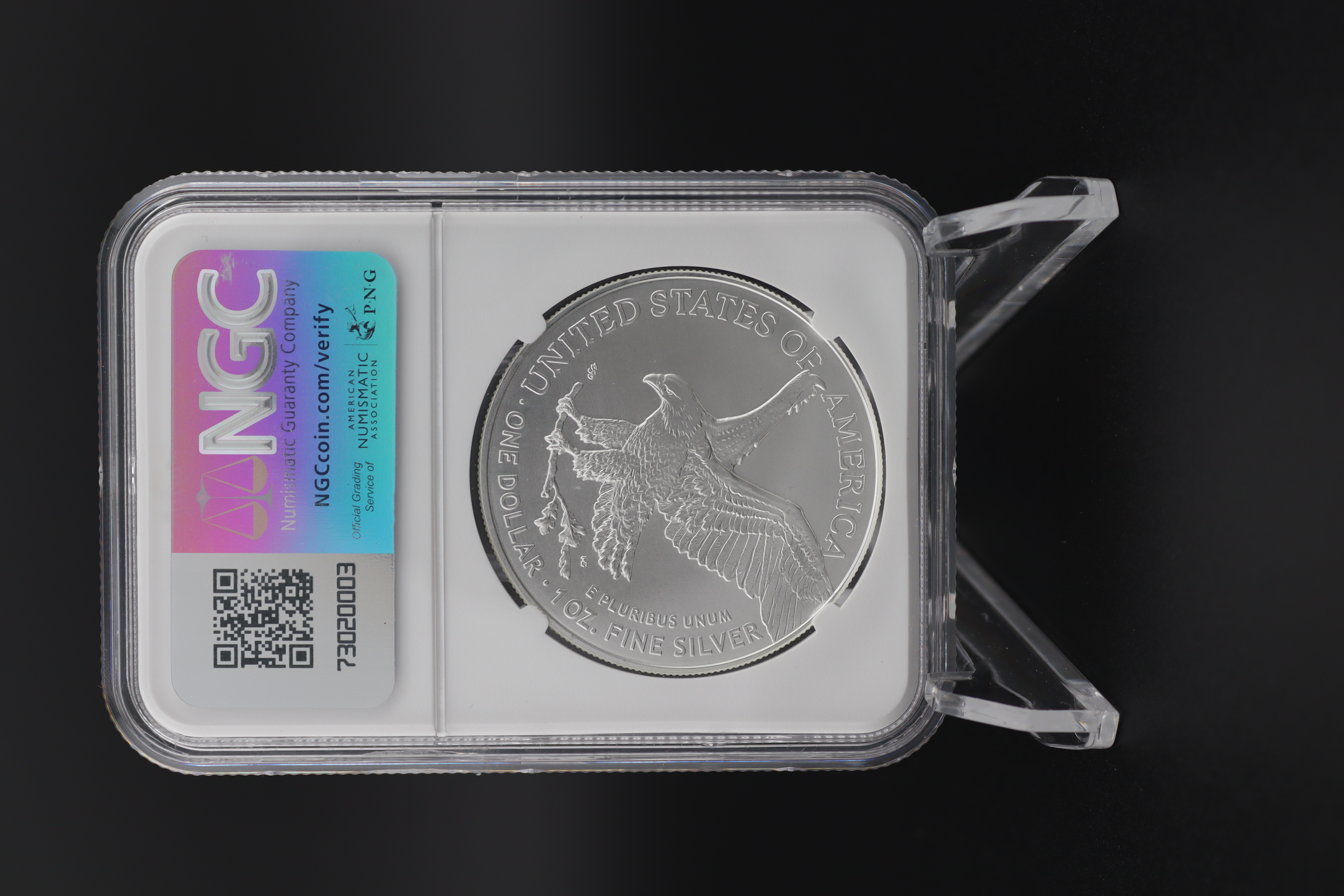 2025 American Silver Eagle $1 Coin