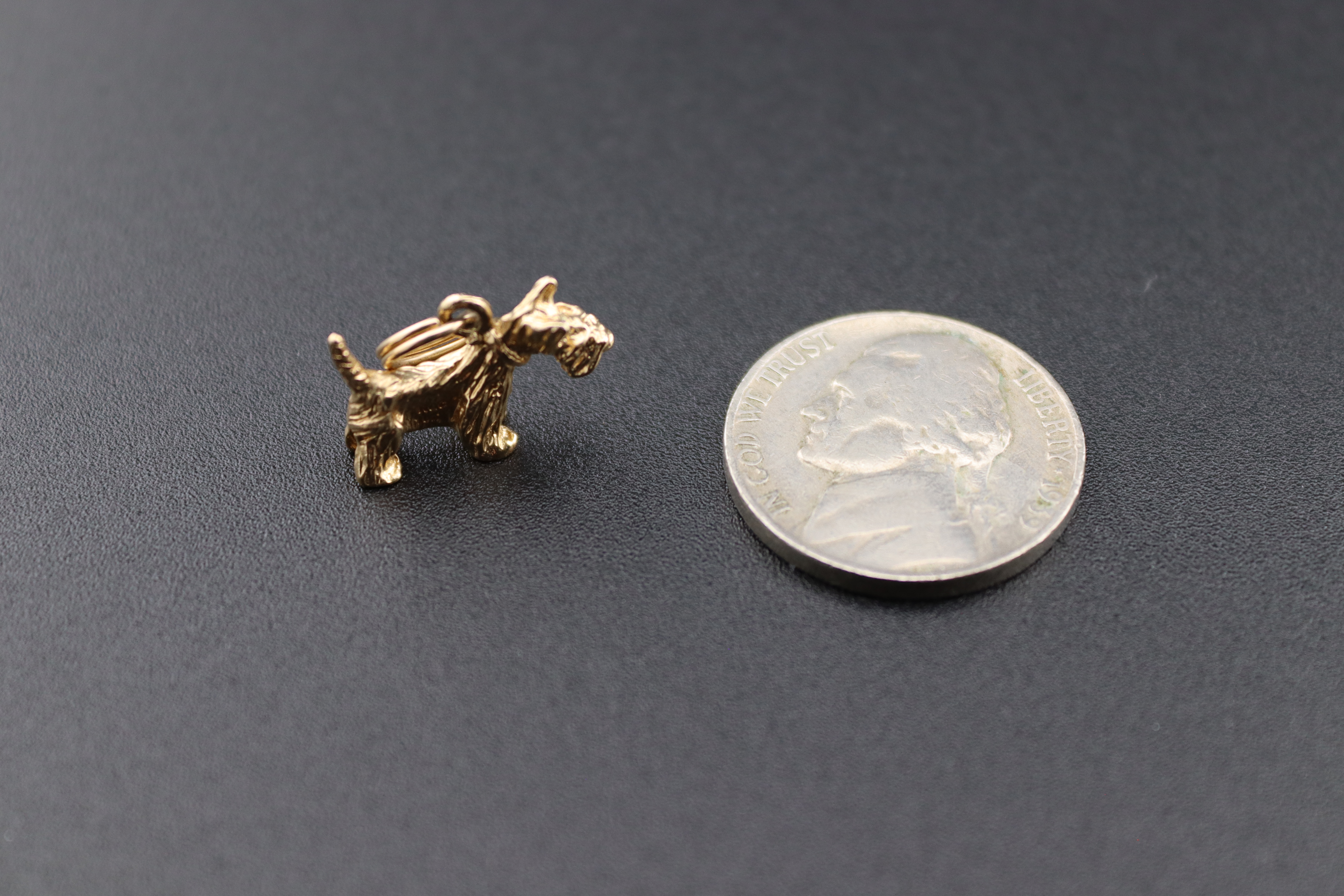 10K Gold Armadillo Charm